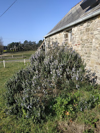 Photos du propriétaire du Restaurant La ferme des mielles à Port-Bail-sur-Mer - n°7