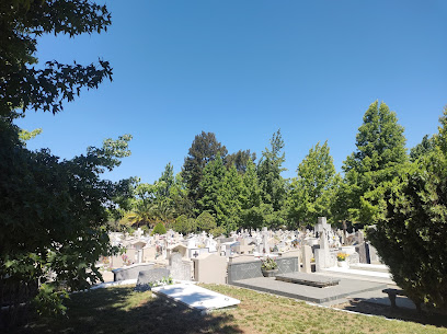 cementerio san Carlos