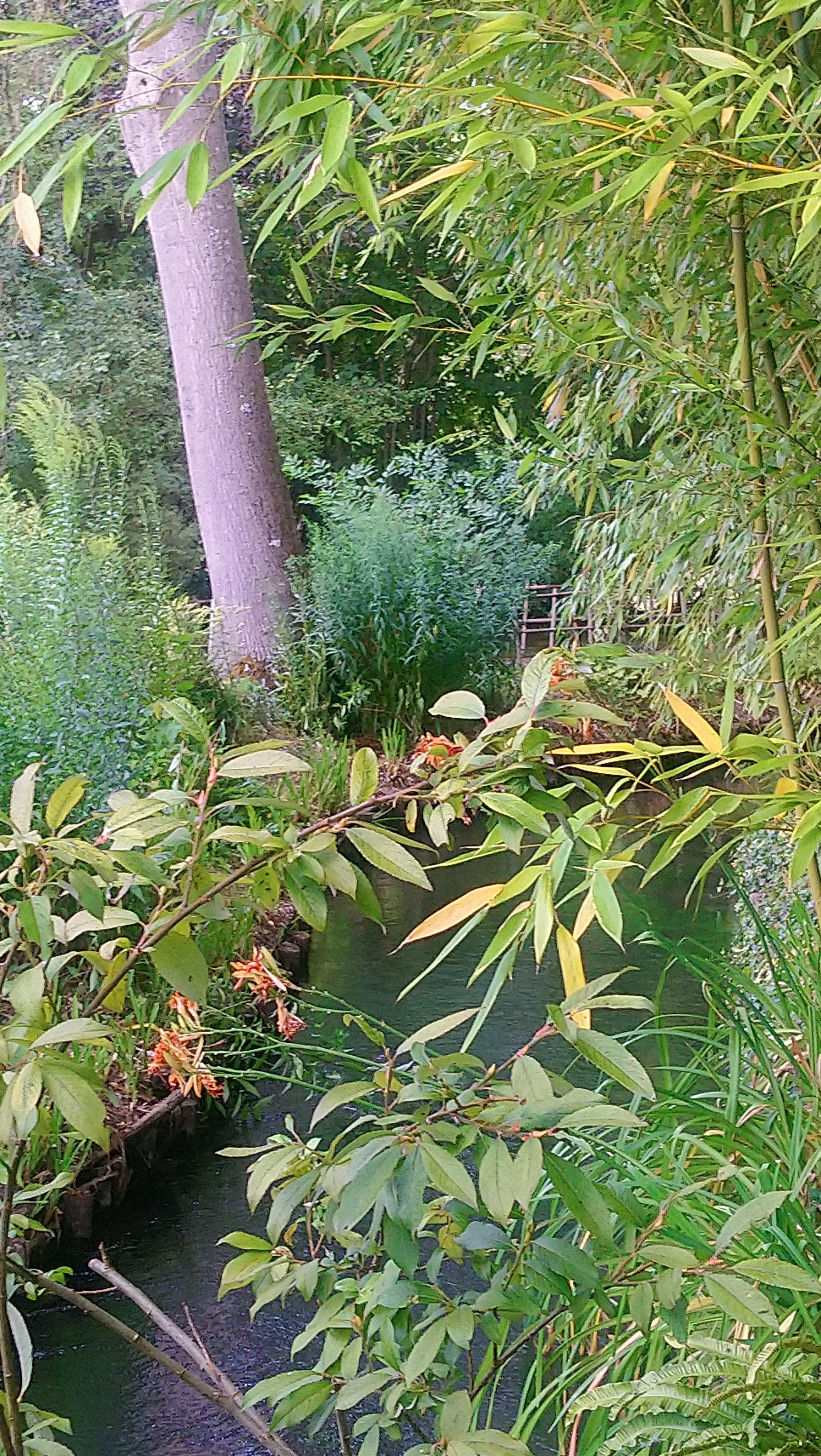 Photo n° 10 de l'avis de Angèle.K fait le 03/08/2020 à 11:24