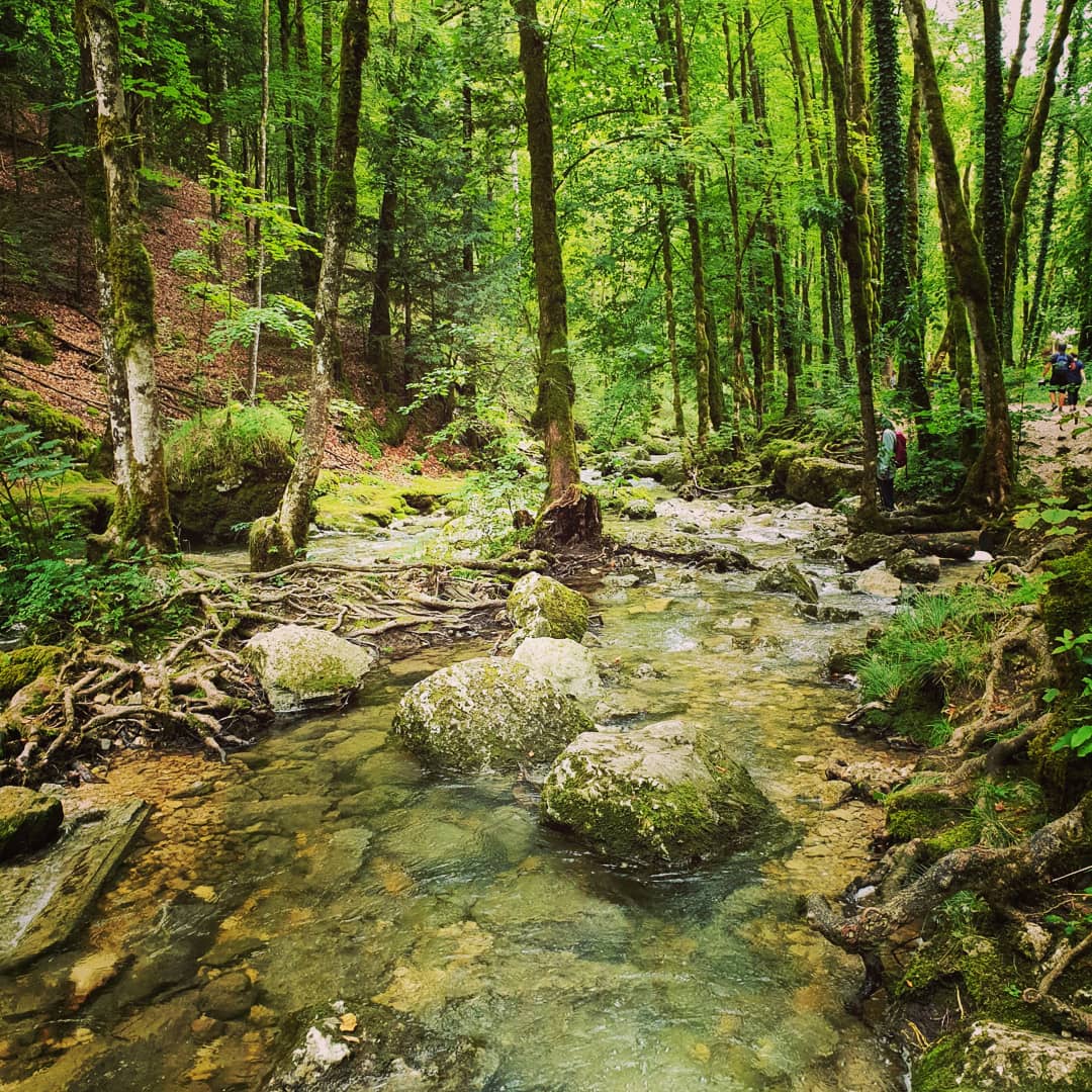 Photo n° 16 de l'avis de totof.h fait le 22/08/2019 à 14:27