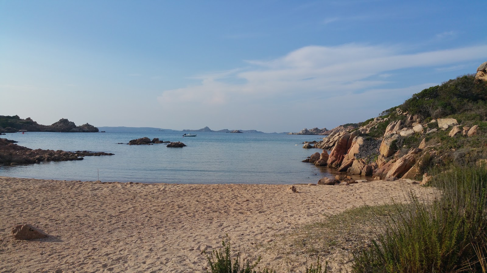 Punta Marginetto'in fotoğrafı vahşi alan