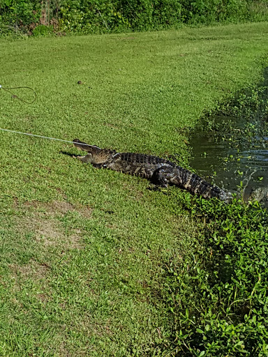 Golf Course «Riverview Park Golf Course», reviews and photos, 100 Riverview Park Dr, Dublin, GA 31021, USA
