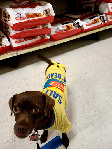 Pet Supply Store «PetSmart», reviews and photos, 2997 Max Ave, Bozeman, MT 59718, USA