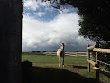 Zeugma Equicoaching - Équitation - Coaching Moulins en Bessin