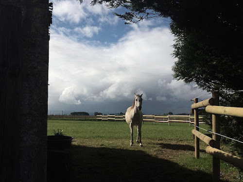 Zeugma Equicoaching - Équitation - Coaching à Moulins en Bessin