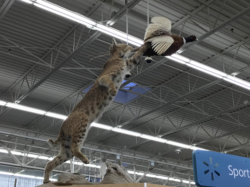 Department Store «Walmart Supercenter», reviews and photos, 260 Donald E Thurmond Pkwy, Cleveland, GA 30528, USA