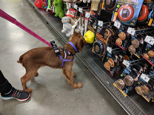 Pet Supply Store «Petco Animal Supplies», reviews and photos, 31419 Pacific Hwy S, Federal Way, WA 98003, USA