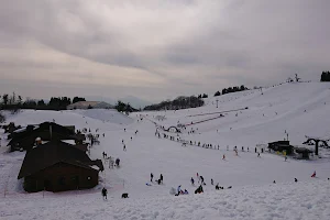 Hakodateyama Ski Resort image