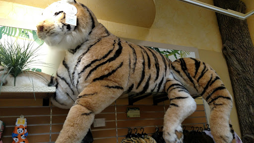 Gift Shop «Smithsonian Museum of Natural History Gift Shops», reviews and photos, 10th St NW & Constitution Avenue Northwest, Washington, DC 20004, USA