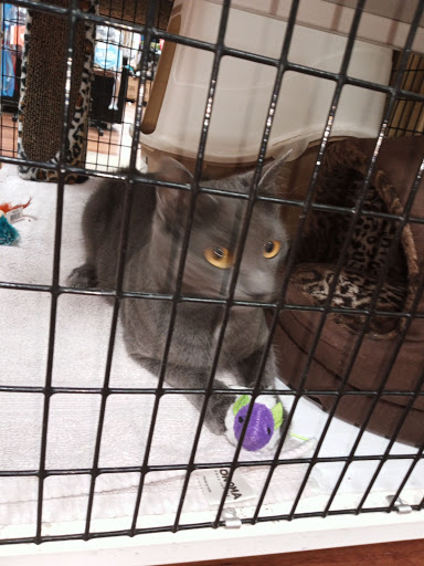 Pet Supply Store «Pet Supermarket», reviews and photos, 11160 Panama City Beach Pkwy #402, Panama City Beach, FL 32407, USA