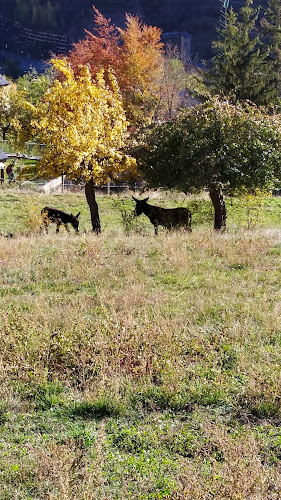 Carretera de Vila, AD200 Encamp