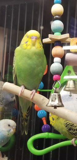 Pet Supply Store «PetSmart», reviews and photos, 132 NJ-31, Flemington, NJ 08822, USA