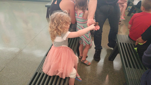 Museum «Insectropolis», reviews and photos, 1761 U.S. 9, Toms River, NJ 08755, USA