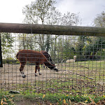 Photo n° 14 de l'avis de DJ.i fait le 01/01/2023 à 10:38 pour Zoo de Maubeuge à Maubeuge