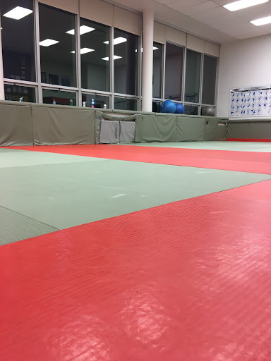 Judo Monde