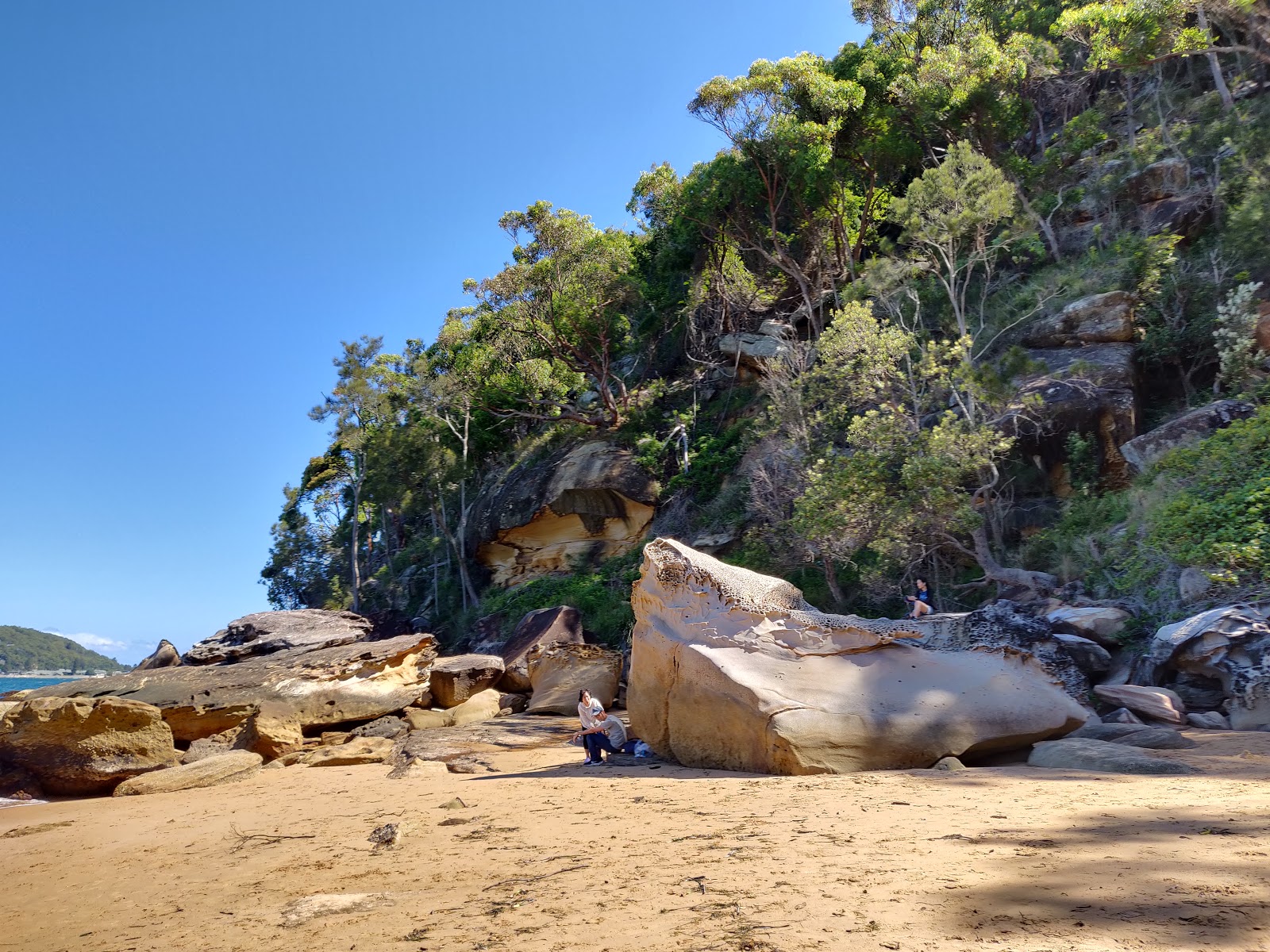 Foto av West Head Beach beläget i naturområde