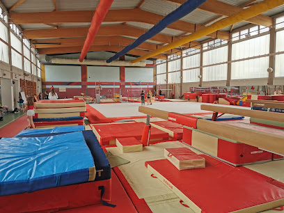 Dijon Gym,art - Maison des associations, Boite MM4, 2 Rue des Corroyeurs, 21000 Dijon, France