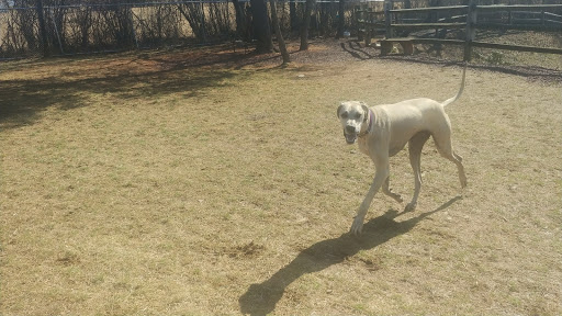 Dog Trainer «Awesome Dawgs Dog Training LLC», reviews and photos, 3052 Pricetown Rd, Temple, PA 19560, USA