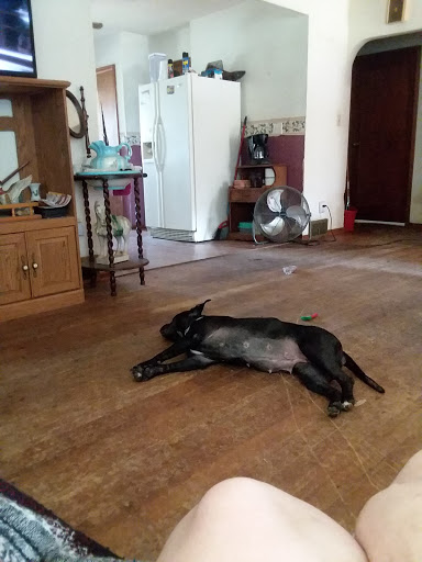 Sheridan Animal Hospital