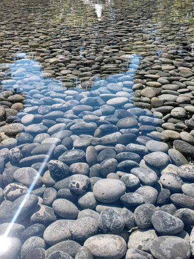 Botanical Garden «Olbrich Botanical Gardens», reviews and photos, 3330 Atwood Ave, Madison, WI 53704, USA