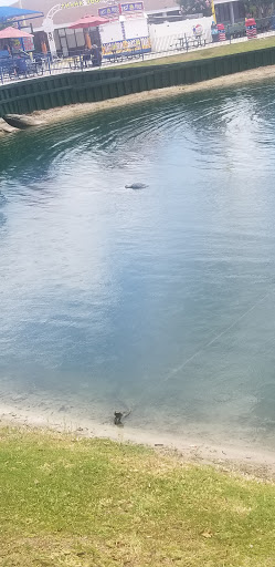 Theme Park «Fun Spot America Theme Parks-Kissimmee», reviews and photos, 2850 Florida Plaza Blvd, Kissimmee, FL 34746, USA