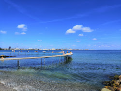 Foto von Ballehage Beach wilde gegend