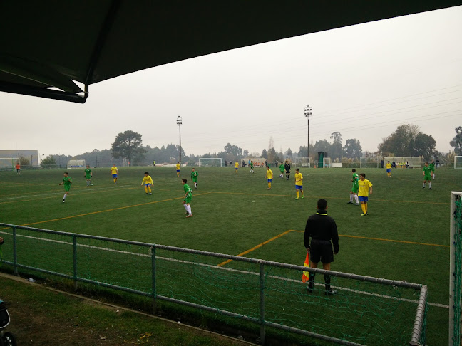 Complexo Desportivo Cassufas - Espinho