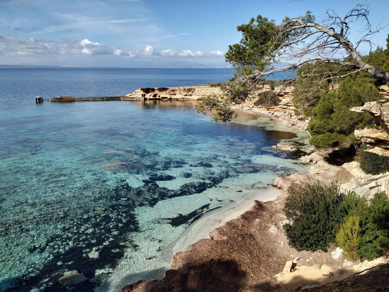 Foto de Platja des Caló zona salvaje