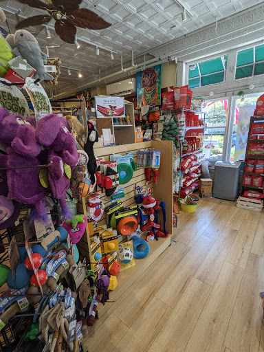 Pet Supply Store «The Dog Store», reviews and photos, 2301 Mt Vernon Ave, Alexandria, VA 22301, USA