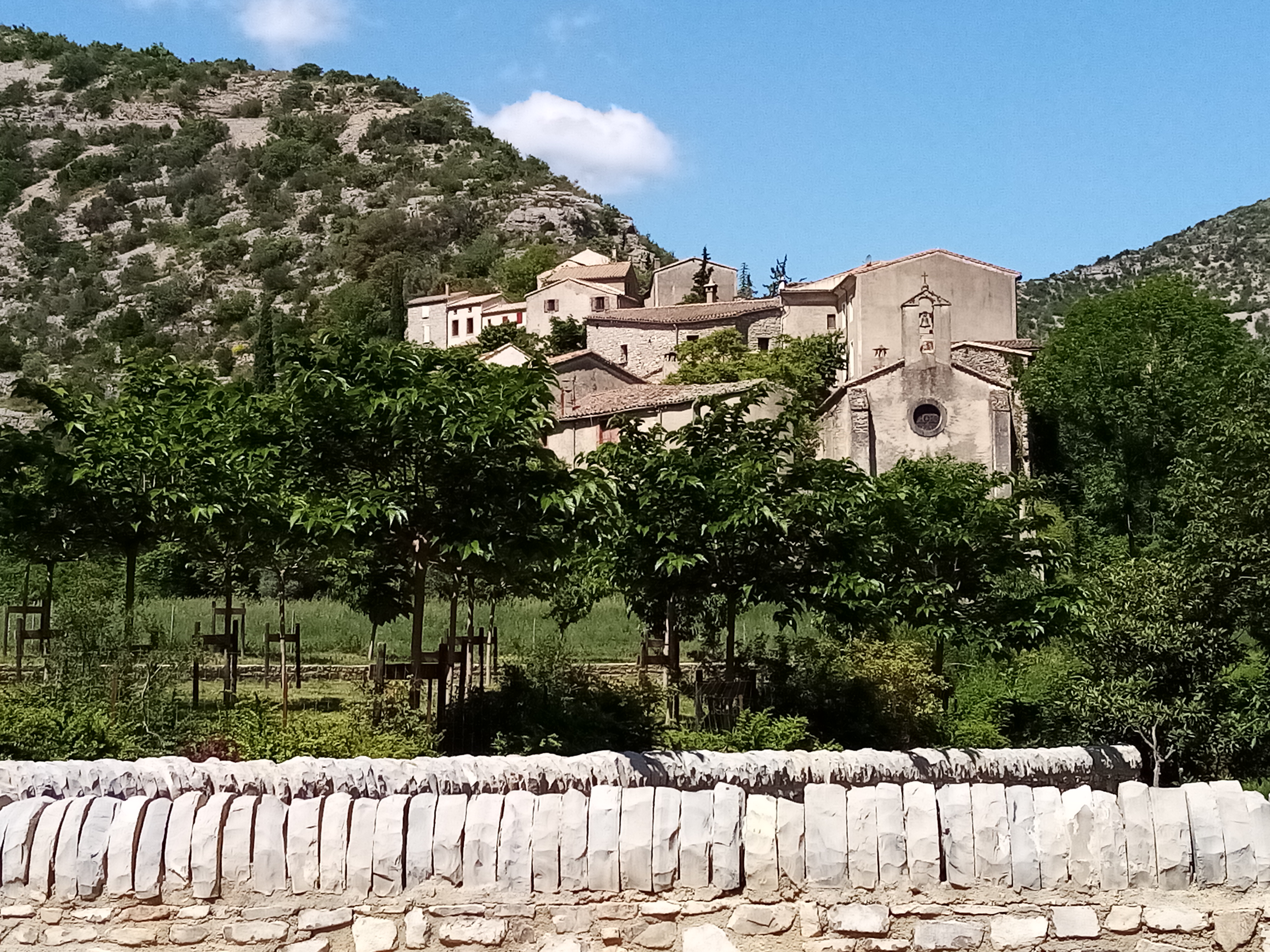 Photo n° 2 de l'avis de Gérard.E fait le 15/06/2023 à 13:31