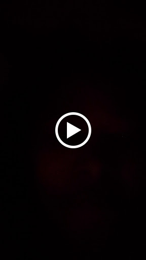 Stadium «USF Sun Dome», reviews and photos, 4202 E Fowler Ave, Tampa, FL 33620, USA