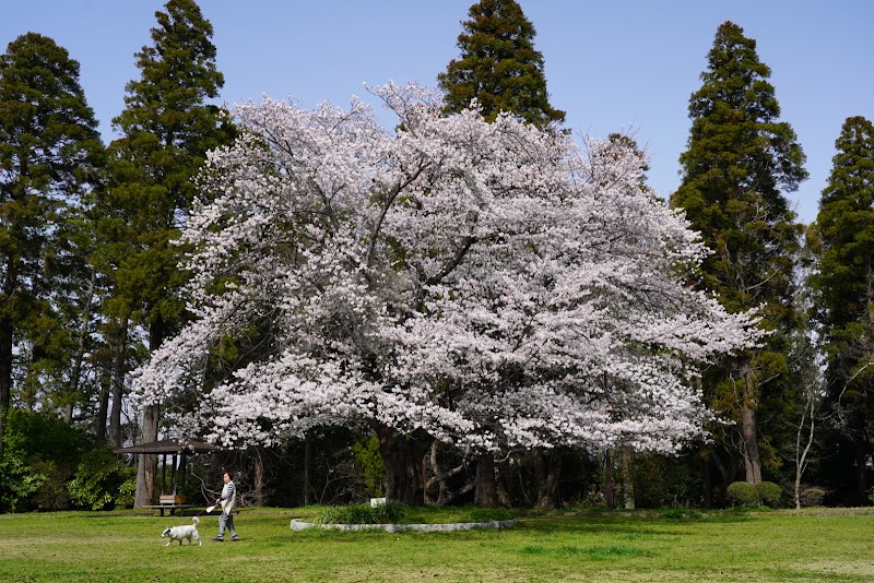 天使の森公園