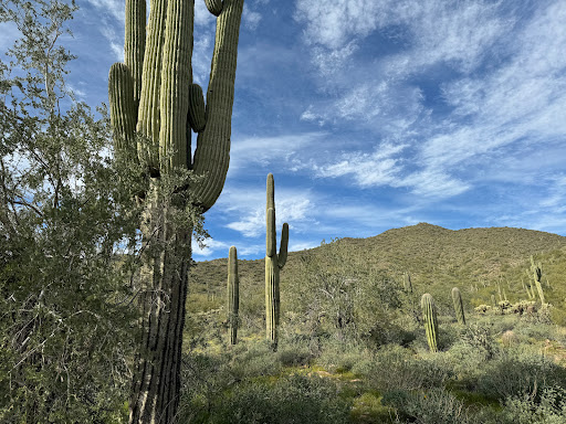 Kovach Family Nature Trail