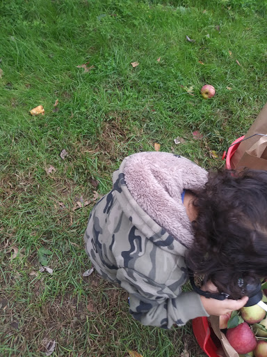 State Park «Monmouth Battlefield State Park», reviews and photos, 16 Business Route 33, Manalapan Township, NJ 07726, USA