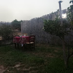 Photo n°3 de l'avis de fabio.u fait le 11/08/2021 à 20:54 sur le  Trattoria - Pizzeria Pascala Abati di Andreanò Patrizio à Badolato