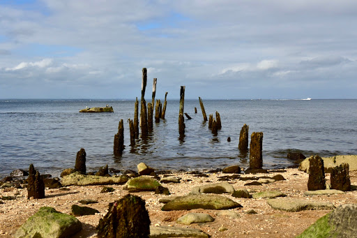 Tourist Attraction «Sands Point Preserve», reviews and photos, 127 Middle Neck Rd, Sands Point, NY 11050, USA