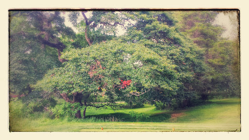 Golf Course «Rutgers Golf Course», reviews and photos, 777 Hoes Ln W, Piscataway Township, NJ 08854, USA