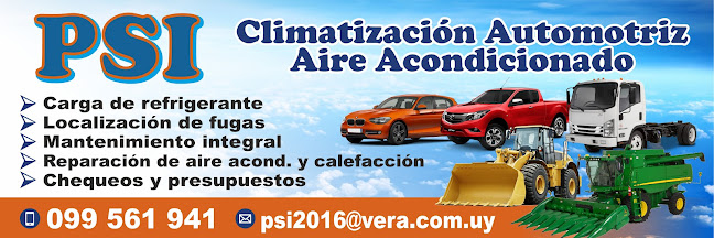 Opiniones de PSI Climatizacion Automotriz en Río Negro - Concesionario de automóviles