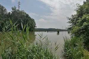 Ornitologická pozorovatelna Rezavka, Ostrava-Svinov image