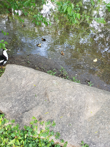 Dog Park «MacArthur Dog Park», reviews and photos, 601 E 9th St, Little Rock, AR 72202, USA