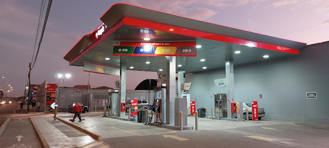 Comentarii opinii despre Grifo terpel