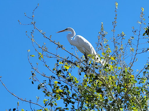 Recreation Center «Rio Vista Recreation Center», reviews and photos, 8866 W Thunderbird Rd, Peoria, AZ 85381, USA