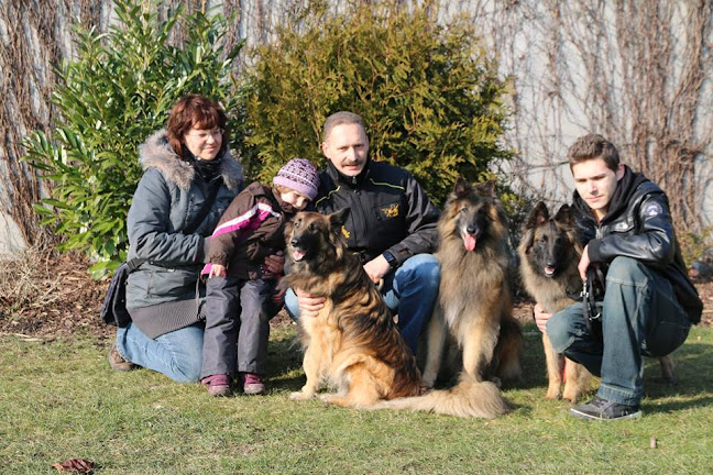 Rezensionen über Hundeschule Kaiser - Verhaltenstherapie & Hundetraining in Vernier - Hundeschule