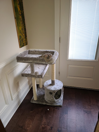 Pet Supply Store «Pet Supermarket», reviews and photos, 3821 S Cobb Dr, Smyrna, GA 30080, USA