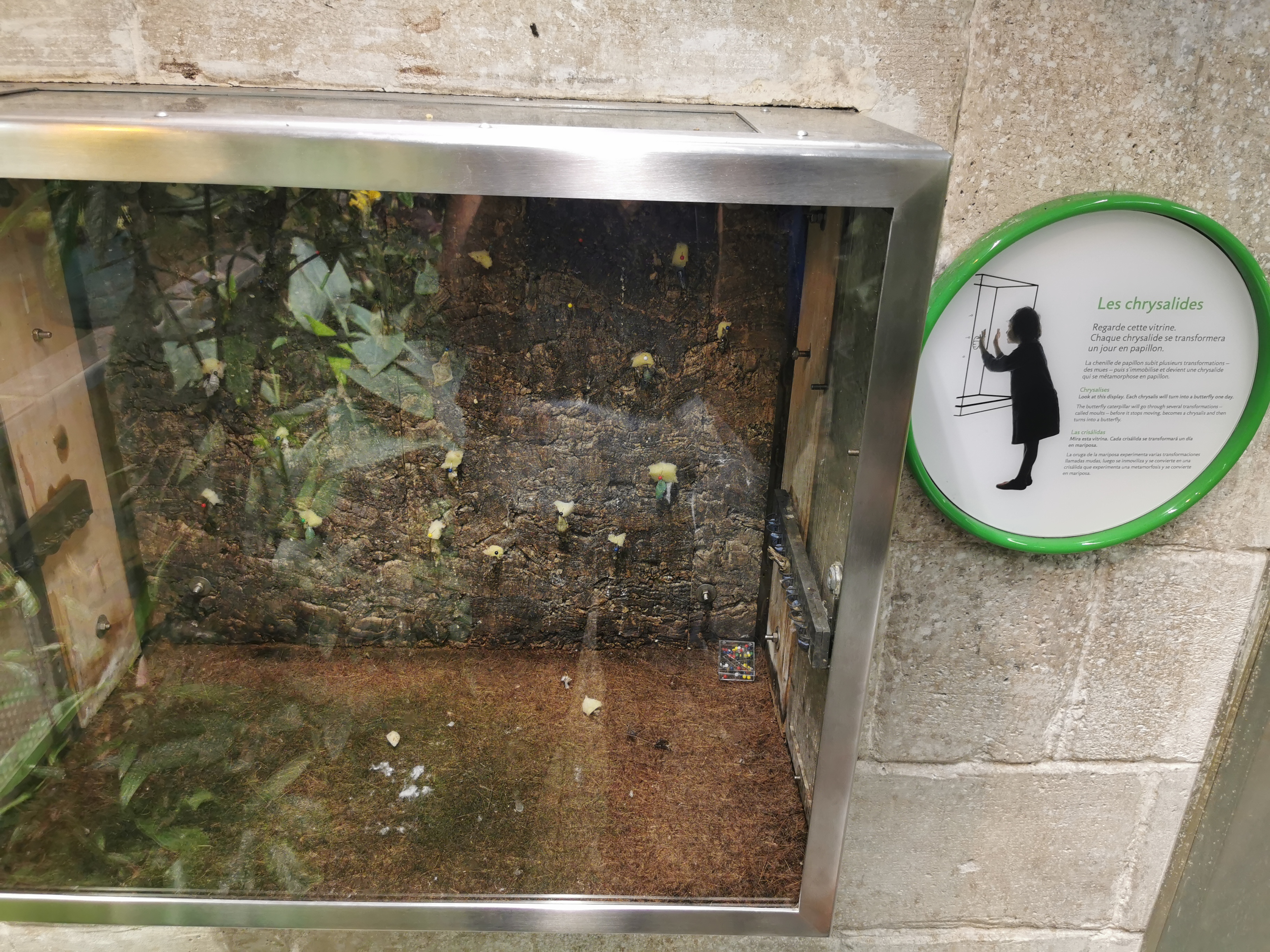 Photo n° 2 de l'avis de Sandrine.a fait le 21/11/2021 à 17:02