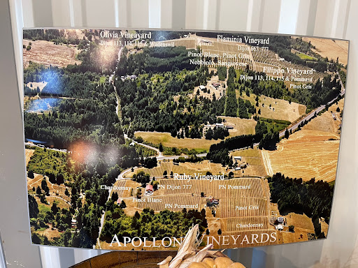 Winery «Apolloni Vineyards», reviews and photos, 14135 NW Timmerman Rd, Forest Grove, OR 97116, USA