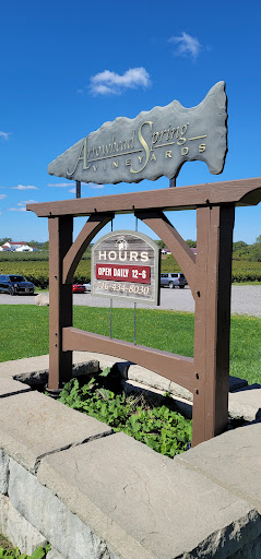 Winery «Arrowhead Spring Vineyards», reviews and photos, 4746 Town Line Rd, Lockport, NY 14094, USA