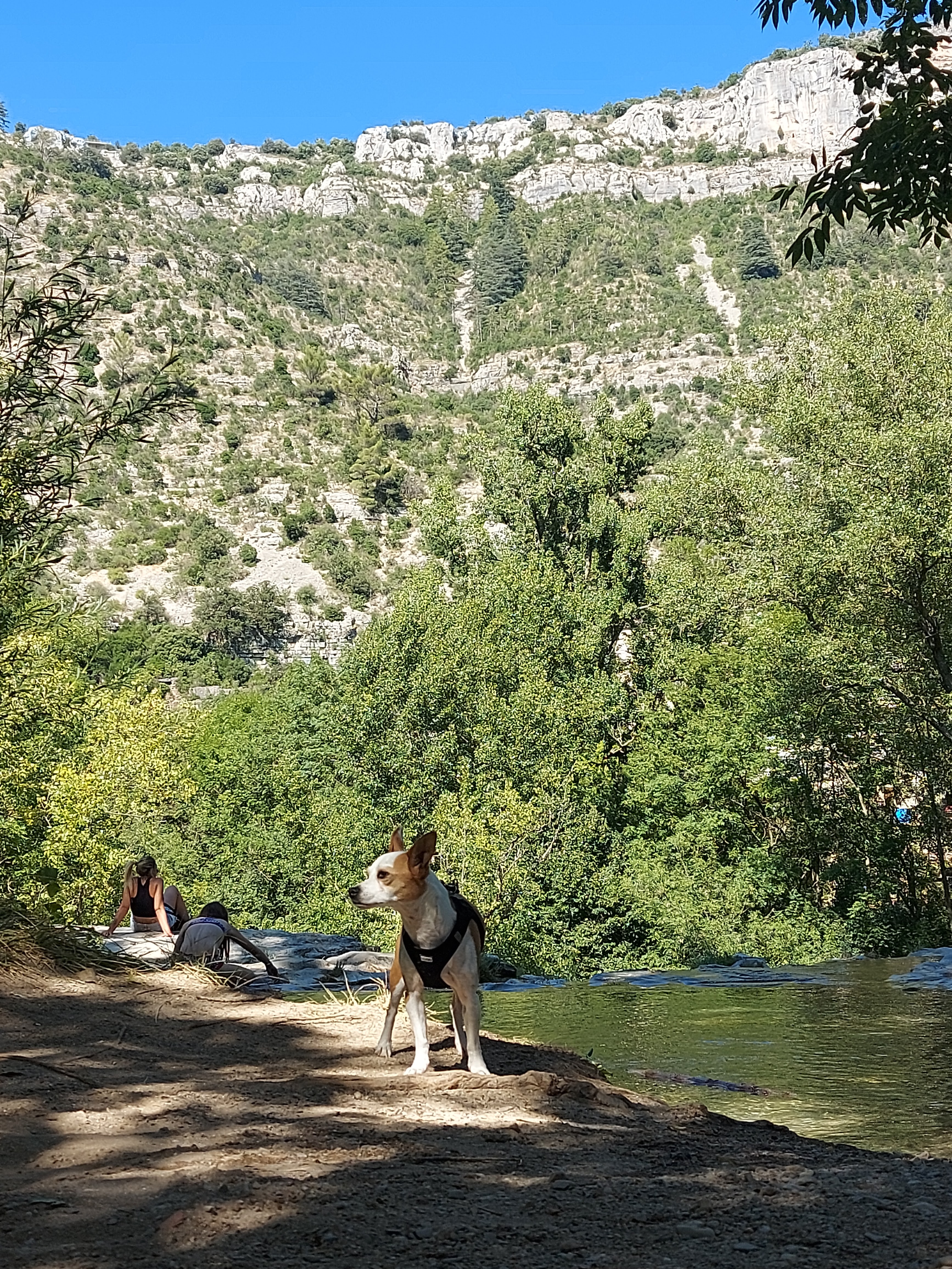 Photo n° 5 de l'avis de Ludivine.l fait le 17/07/2022 à 16:35