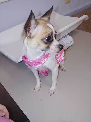 741 N Broad St, Middletown, DE 19709, USA