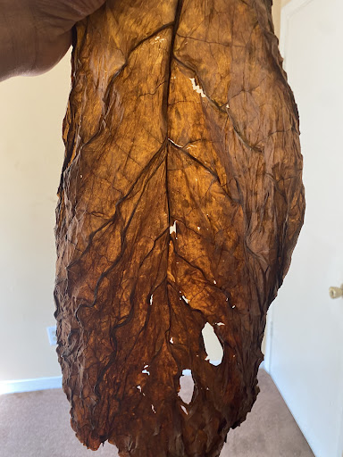 Tobacco Shop «Leaf Only», reviews and photos, 440 Middlefield St, Middletown, CT 06457, USA